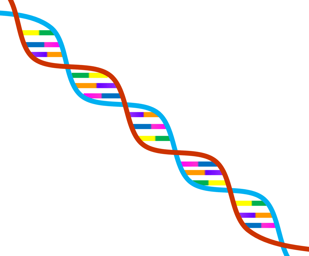 Dna symbol vector clipart images