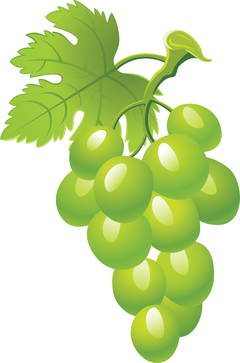 Grape clipart picture