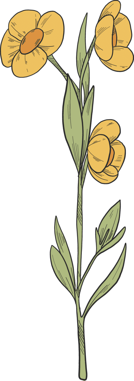 Wildflower vector clipart images 2