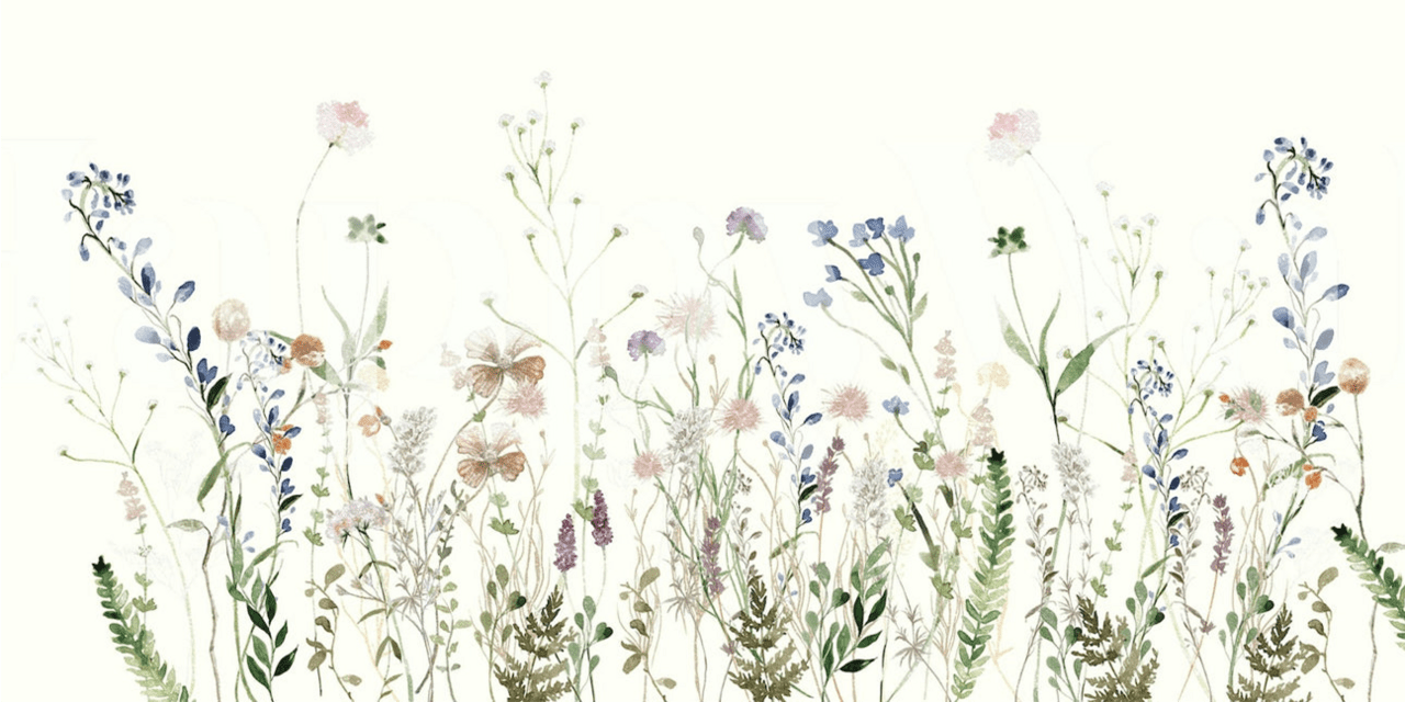 Wildflower flowers art devons clipart logo