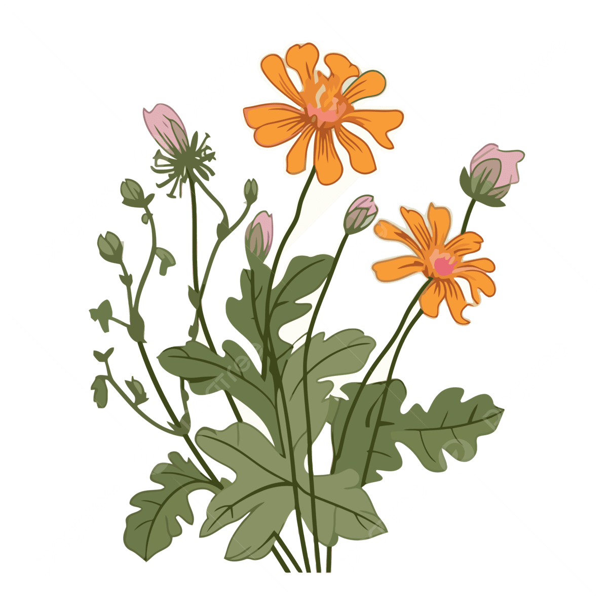 Pink wildflower clipart vector and with background for