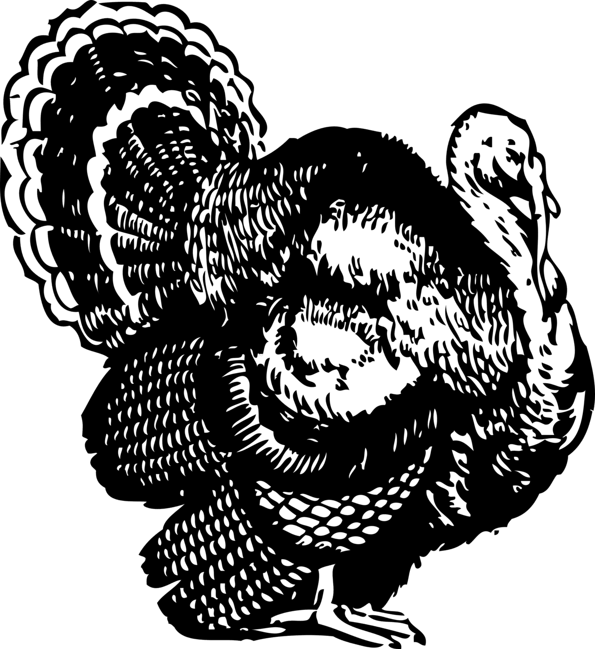 Turkey black and white clipart picture