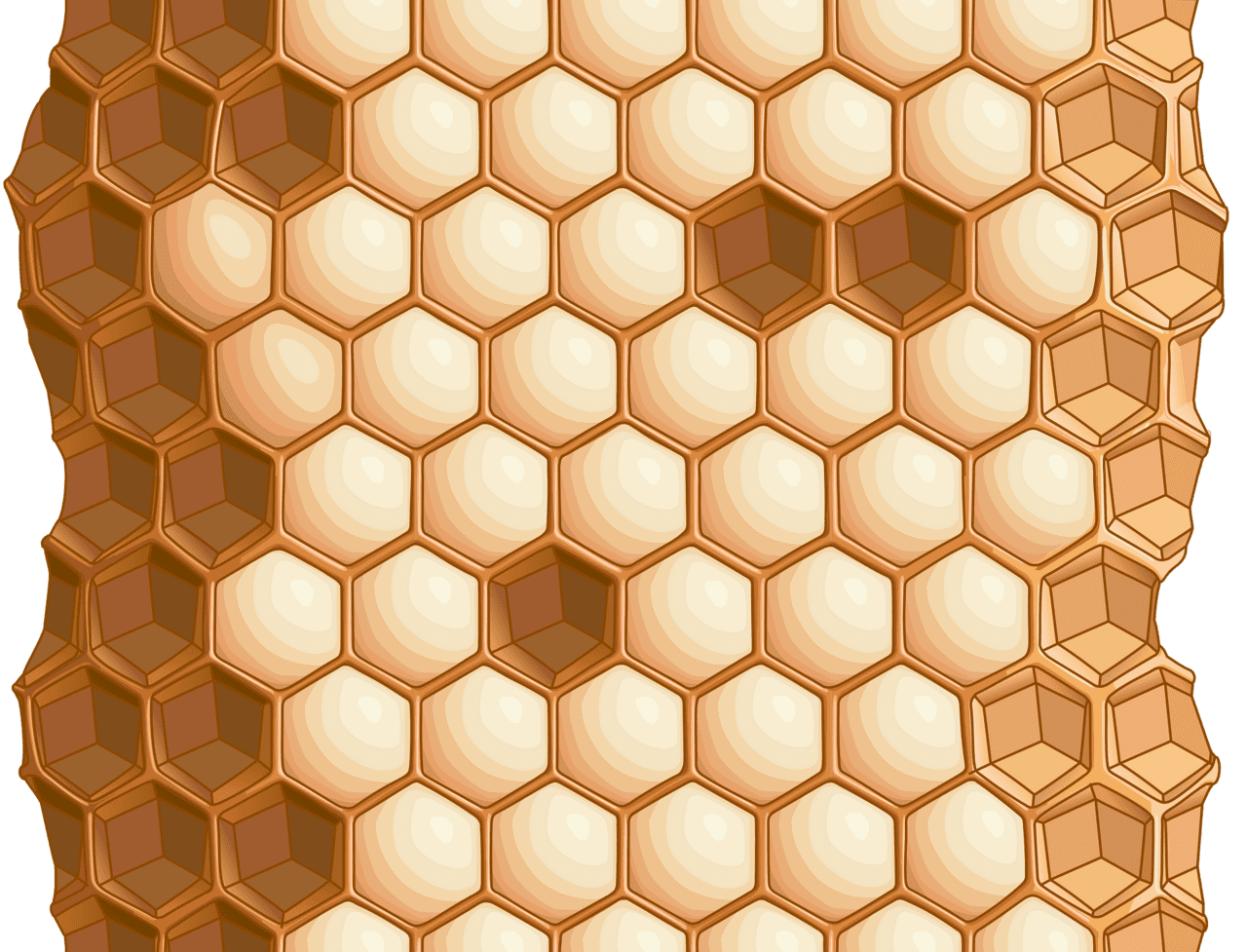Honeycomb honey pattern vector clipart images