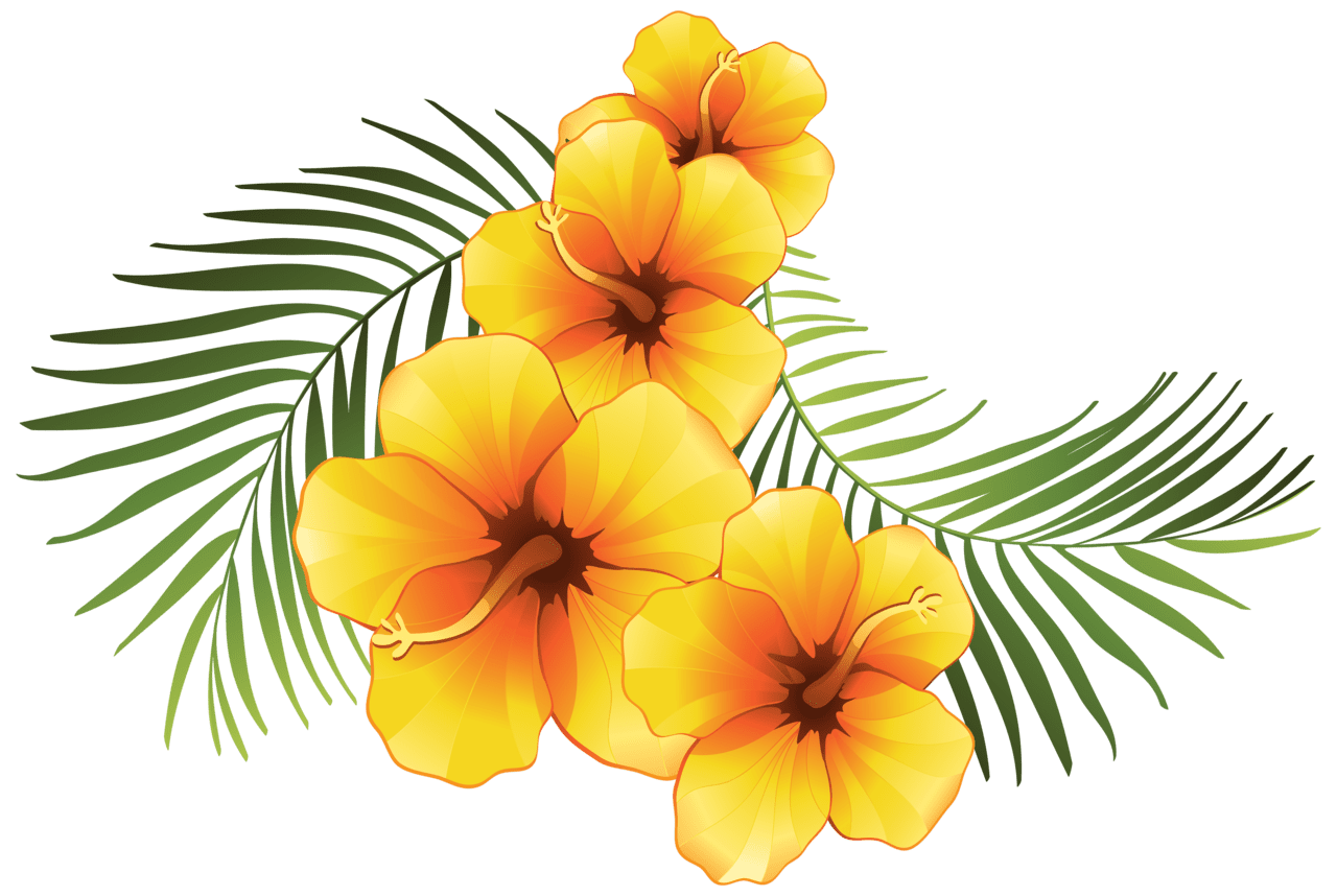 Hibiscus flower exotic floral decoration clipart image