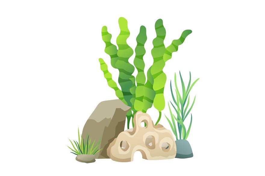 Seaweed to ng trang tr nh th vi ch clipart free