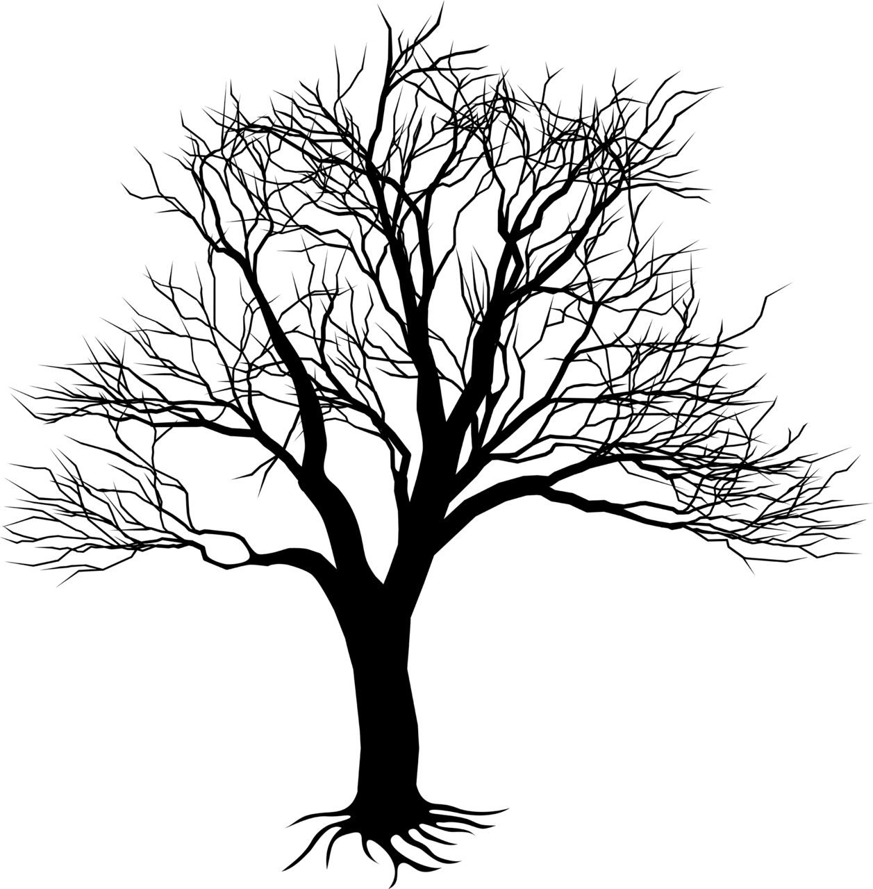 Tree black and white drawing of wall clipart clip art