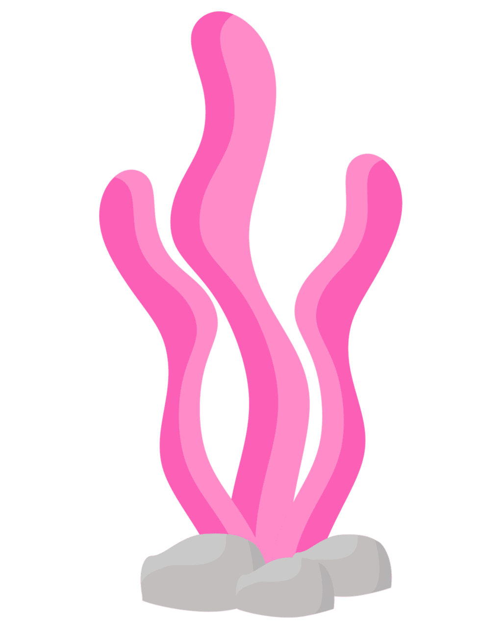 Seaweed page clipart photo