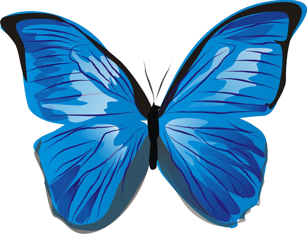 Insect butterfly clipart logo
