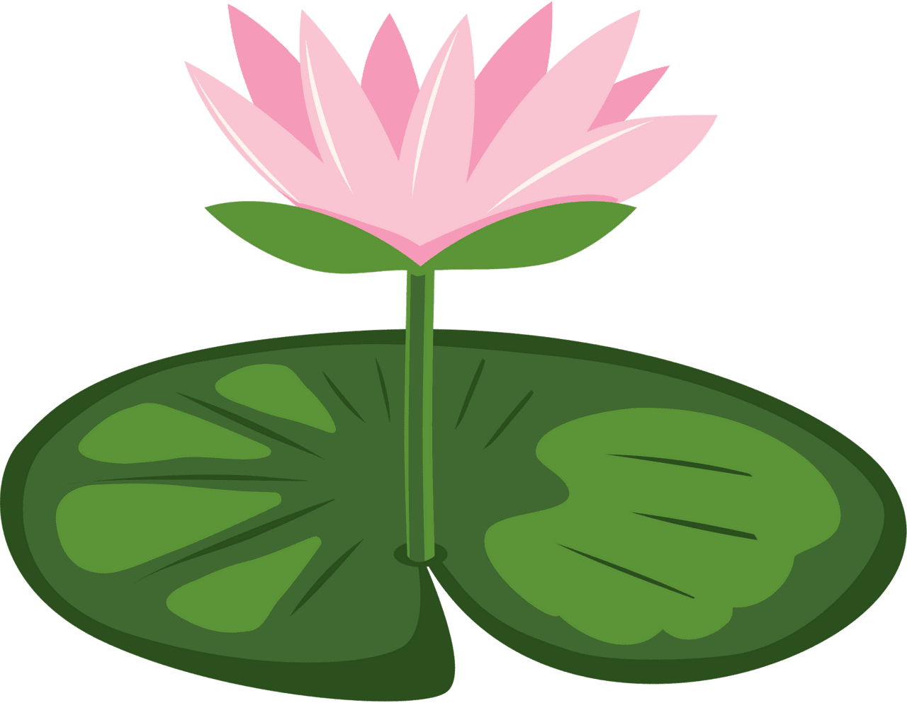 Lily pad vector clipart images