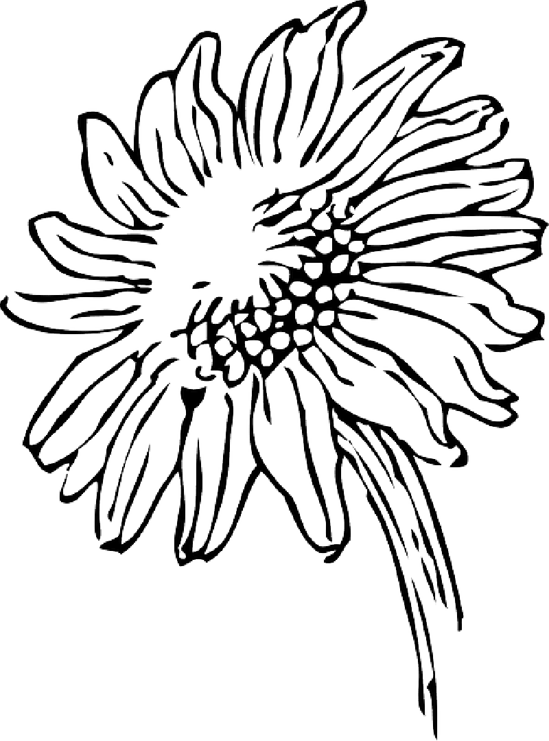 Tattoo pin page clipart picture