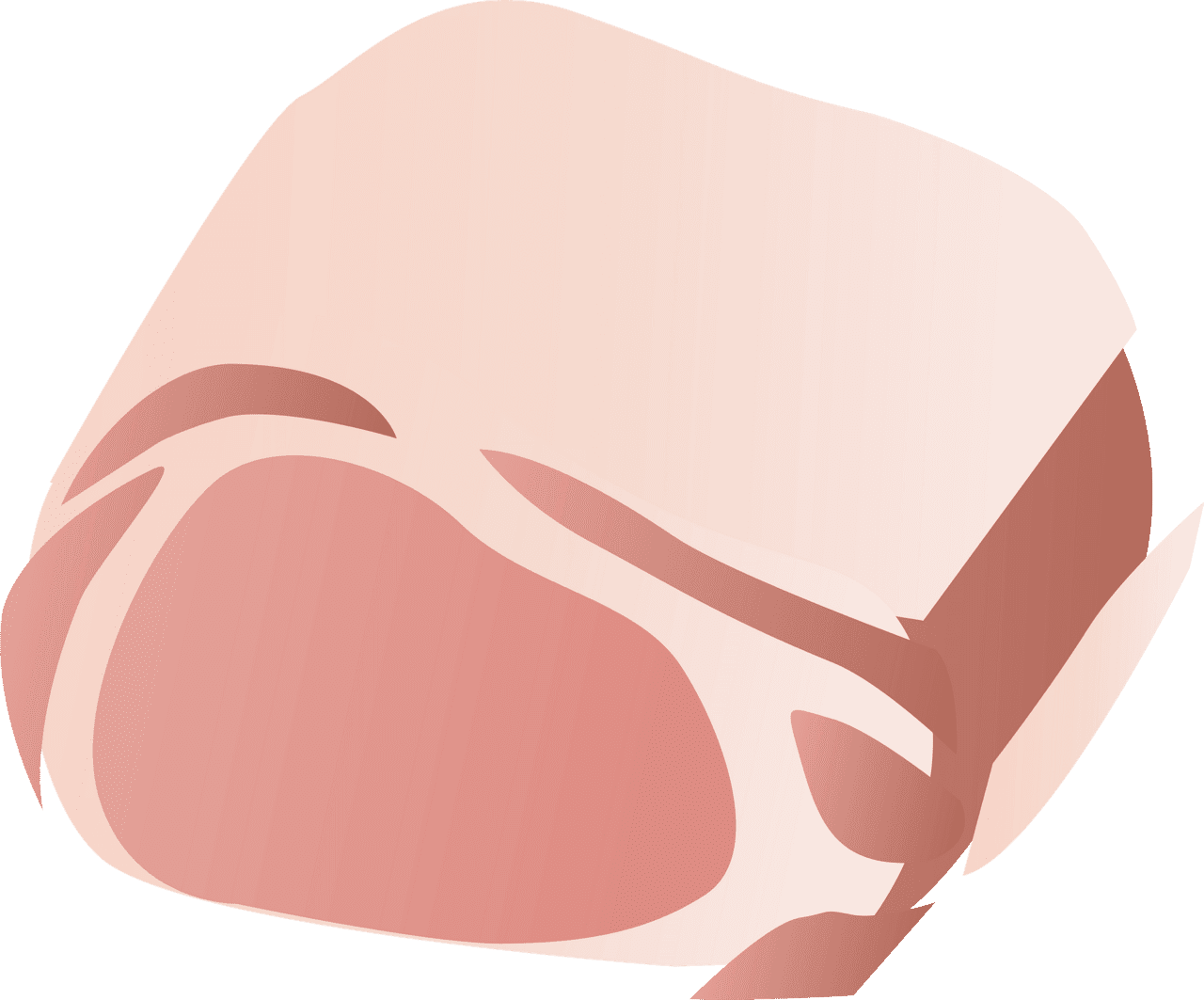 Pork meat vector clipart images 2