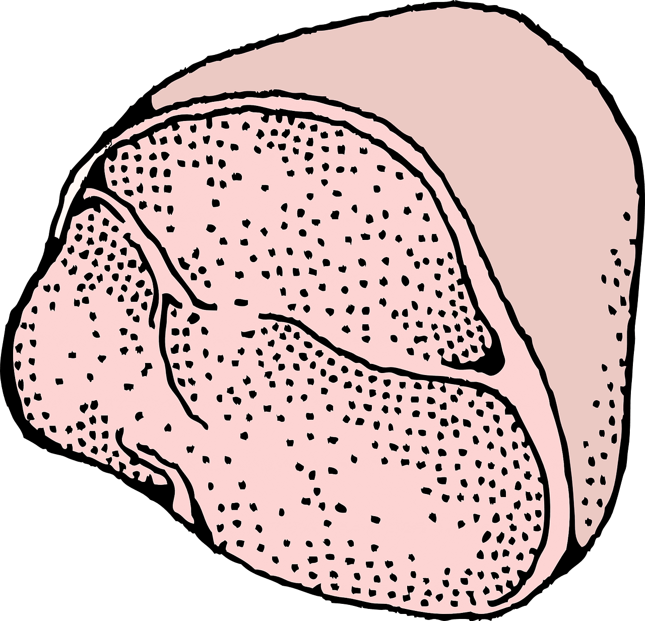 Ham pork meat vector graphic clipart