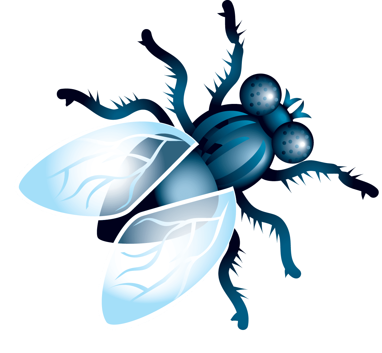 Insect fly clipart background