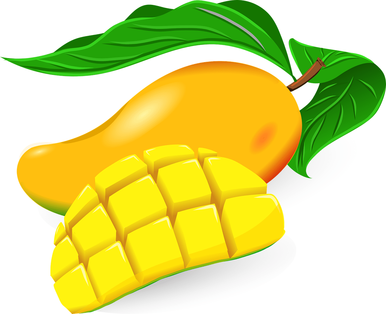 Mango vector images and clipart now
