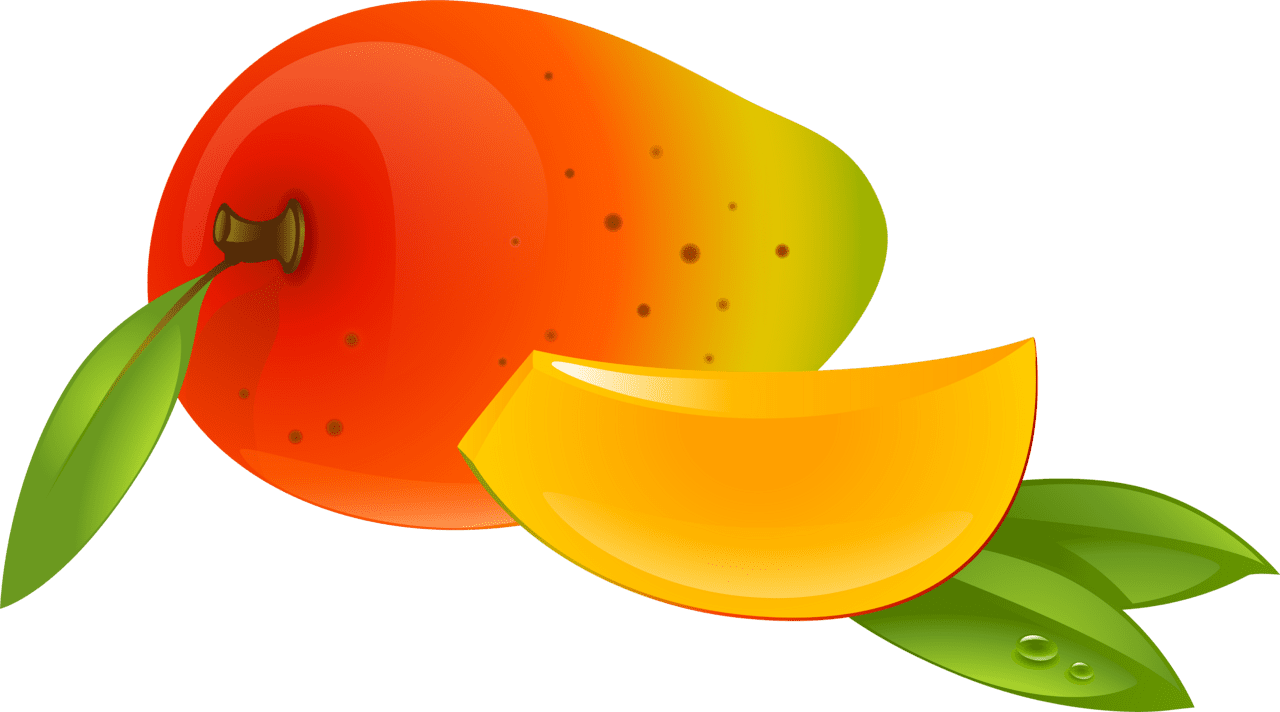 Mango dibujo clipart large size image