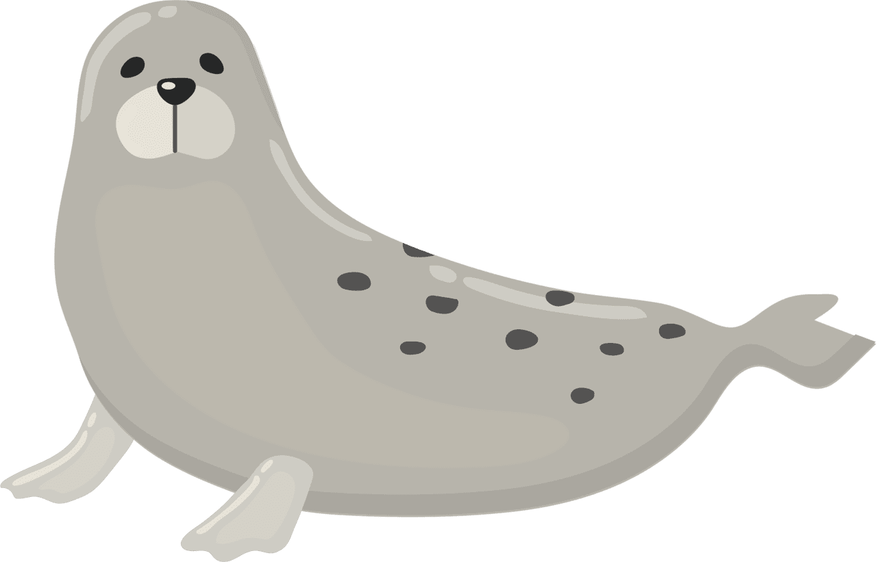 Harp seal vector clipart images