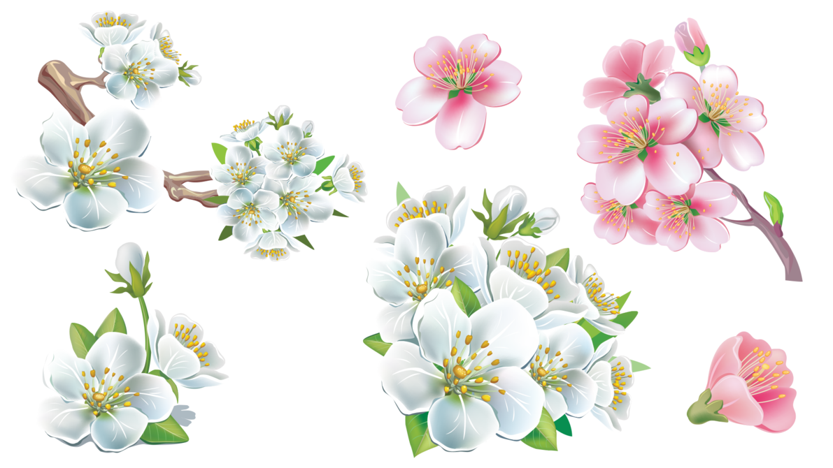 Vines bonus flower sakura by ilabsnsd deviantart clipart clip art