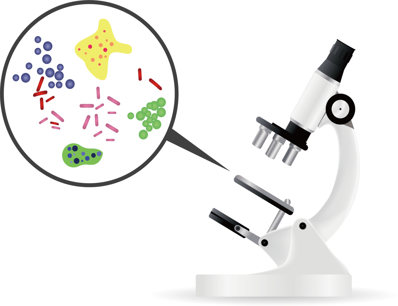 Bacteria microorganism microscope euclidean vector clipart