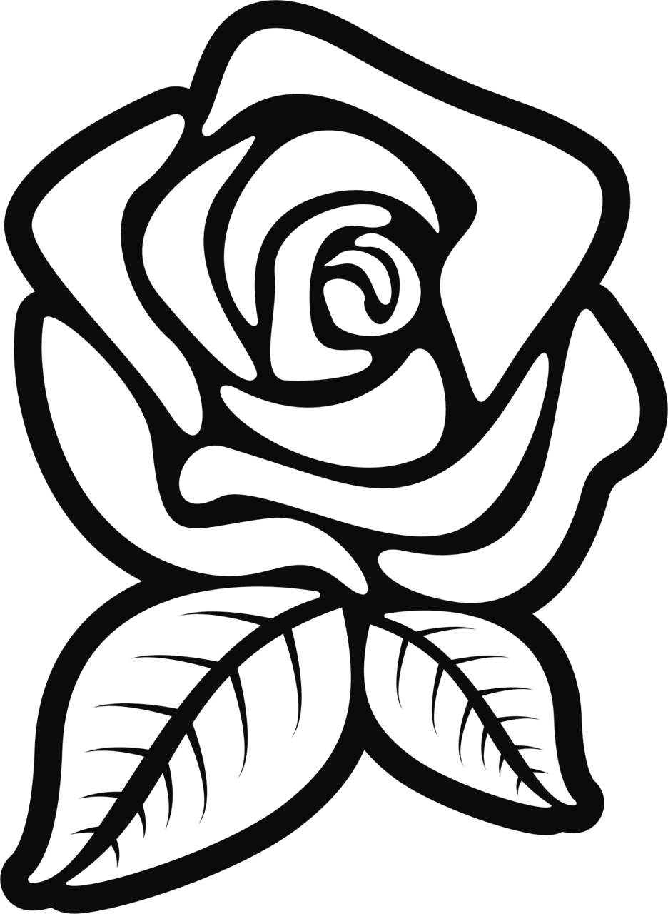 Rose black and white pin page clipart background