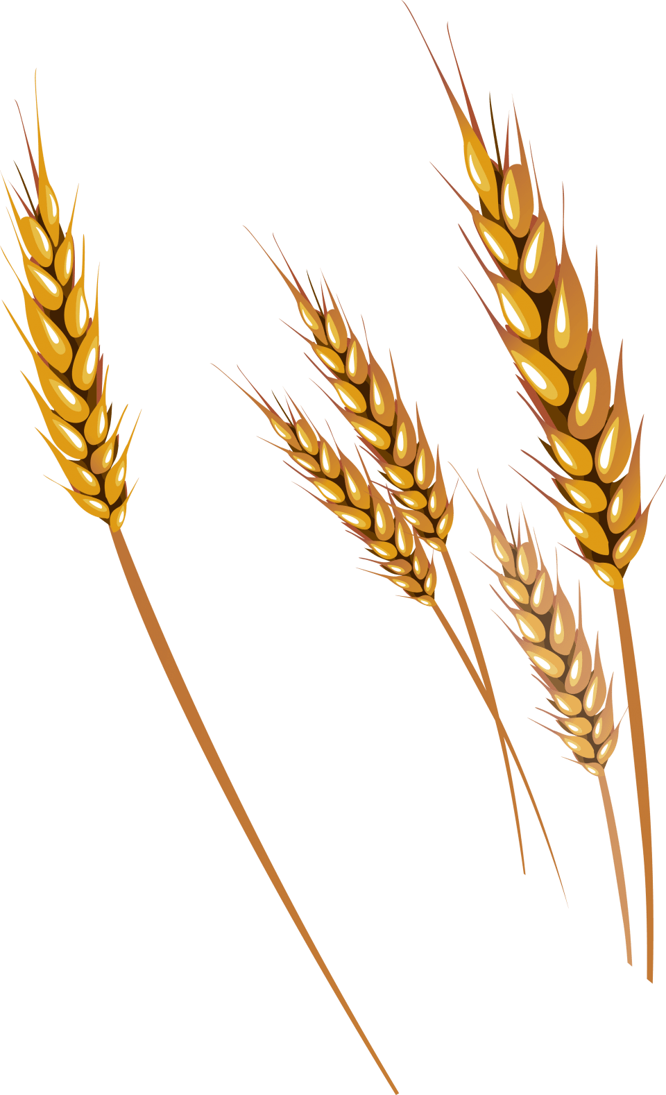 Wheat pin page clipart image