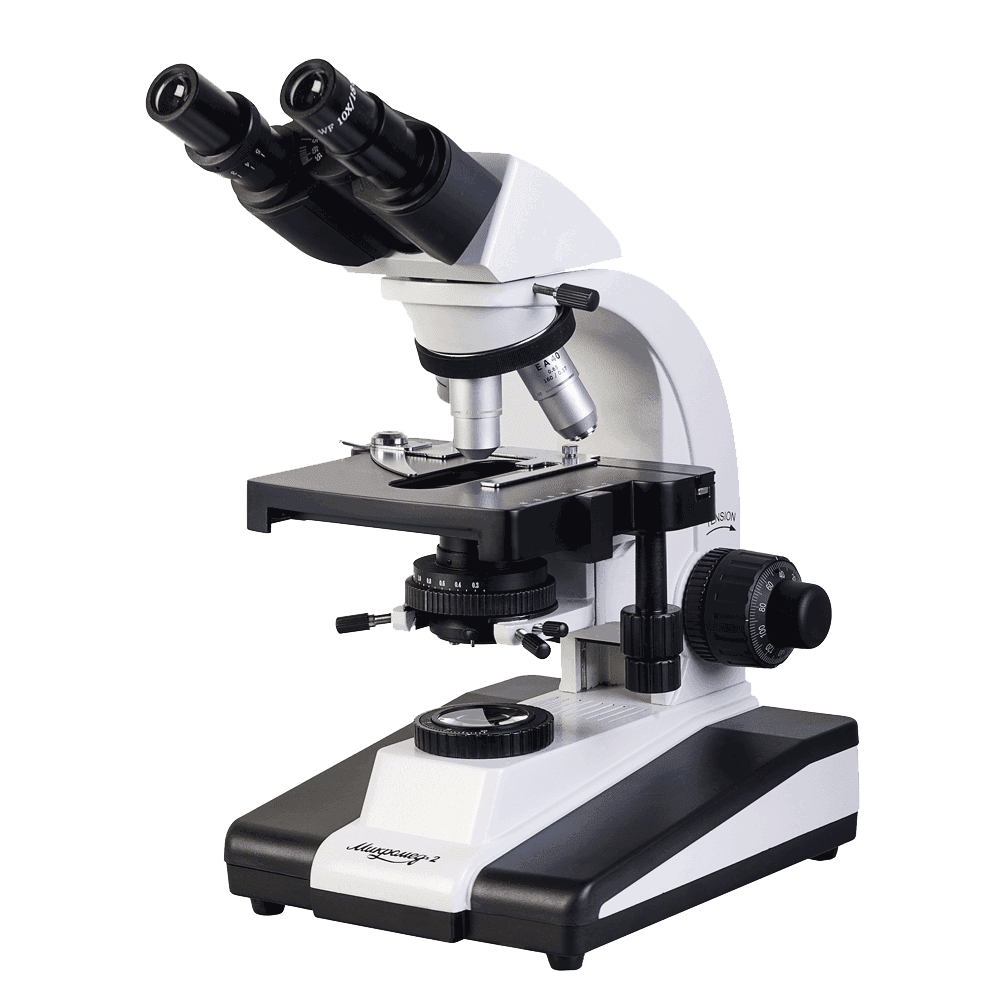 Microscope clipart picture