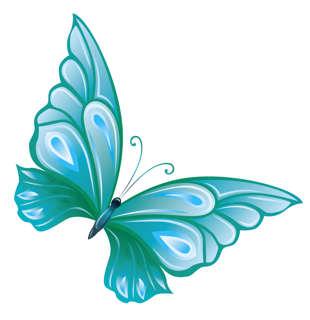 Insect blue butterfly clipart background