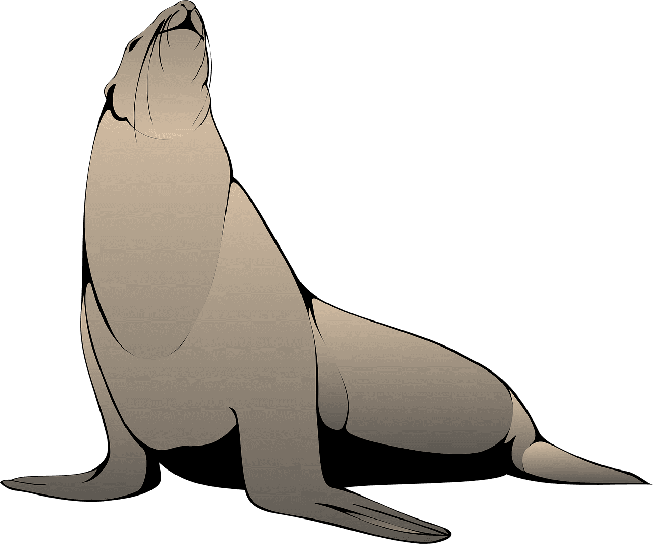 Seal head raised vector graphic clipart