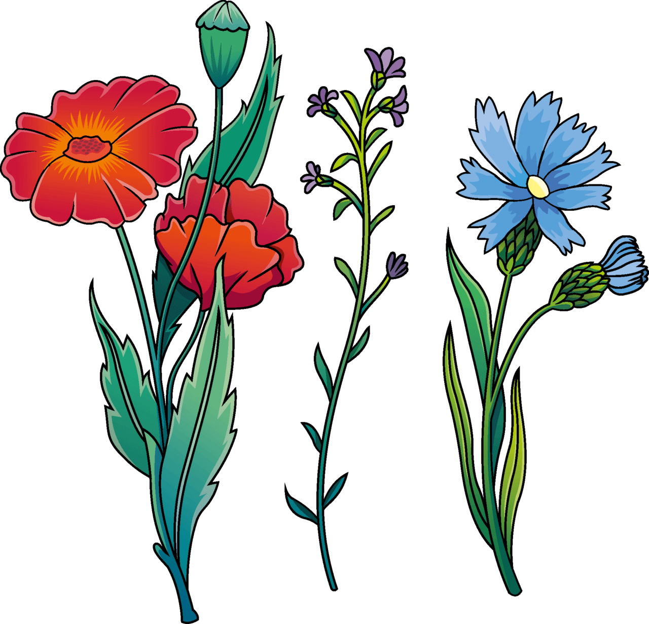 Wildflower vector clipart images