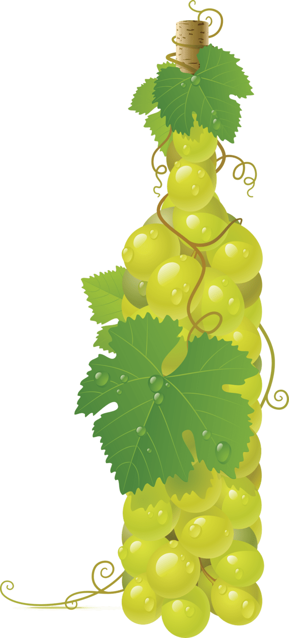 Vines green grapes clipart logo
