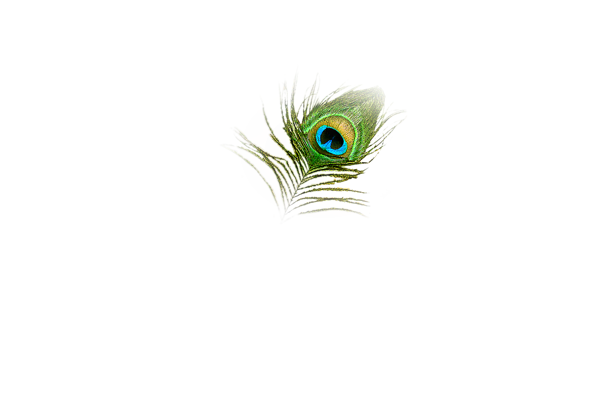 Beautiful peacock feathers eye clipart transparent