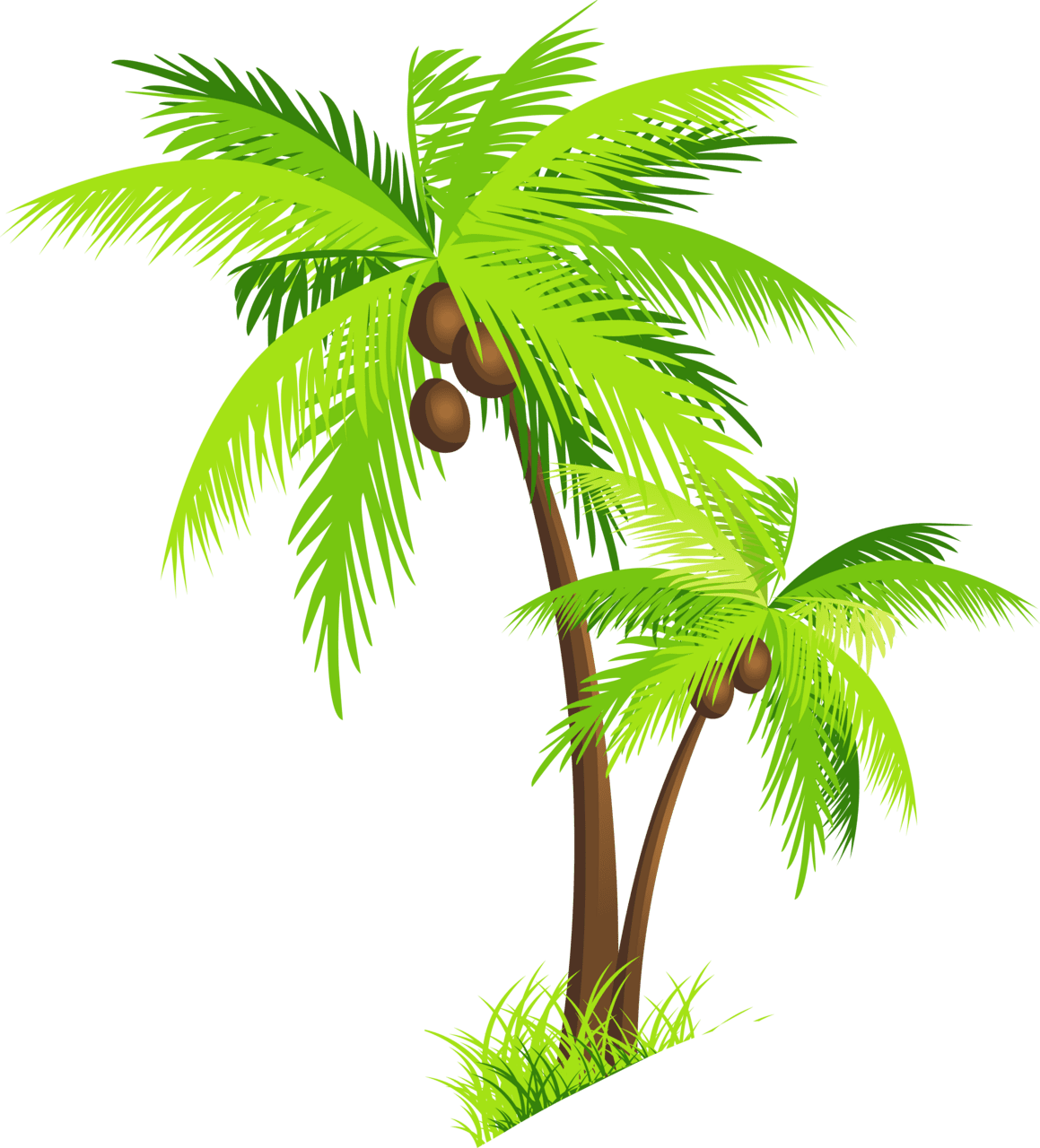 Coconut tree island tropical palm beach clipart free