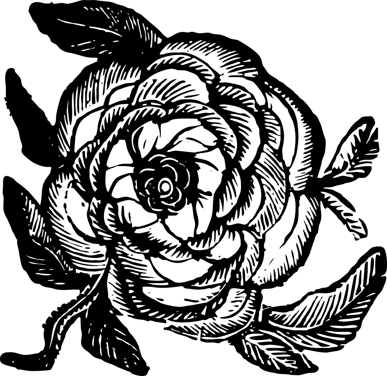 Rose black and white flower vector graphic clipart