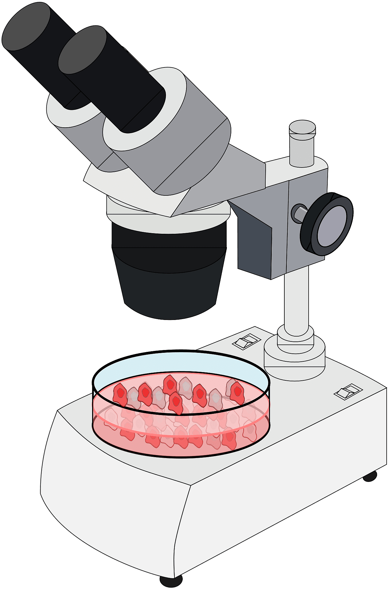 Microscope vector clipart images 4