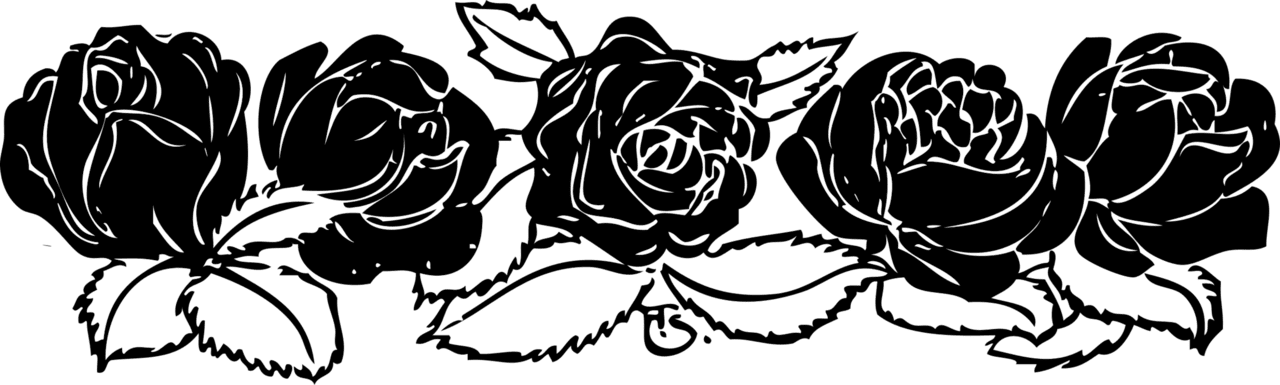 Rose black and white photography images clipart