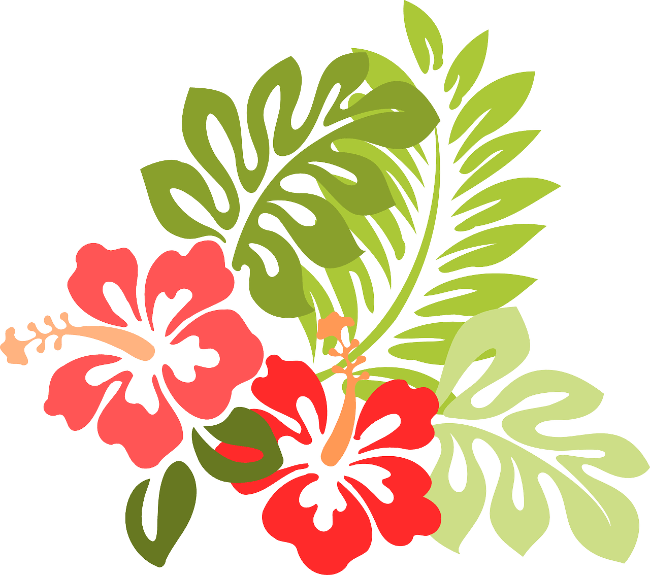 Hibiscus flower fleur feuille images vectorielles gratuites sur pixabay clipart