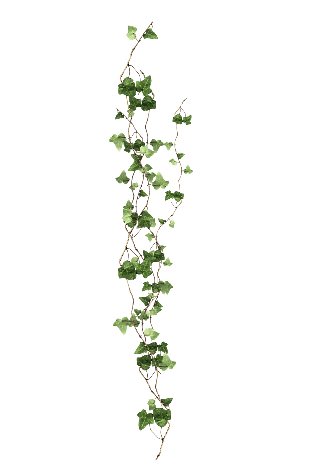 Vines pin page clipart background 2