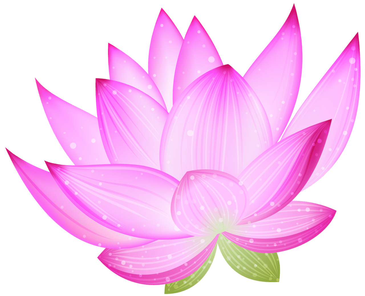 Lily pad pin page clipart photo