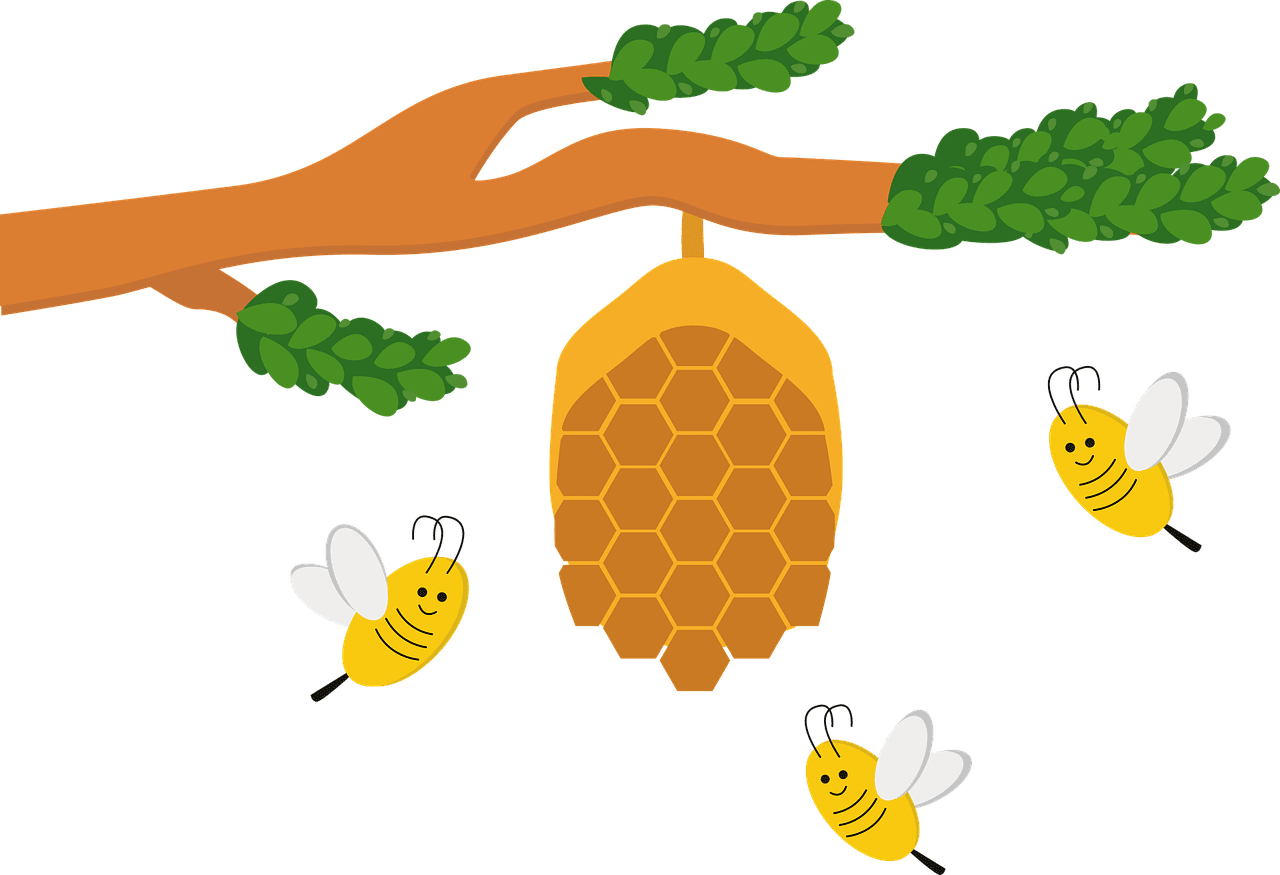 Honeycomb beehive honey bees vector graphic clipart