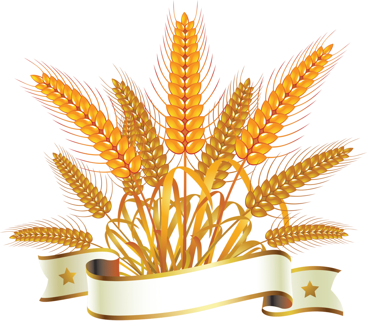 Wheat clipart photo 2