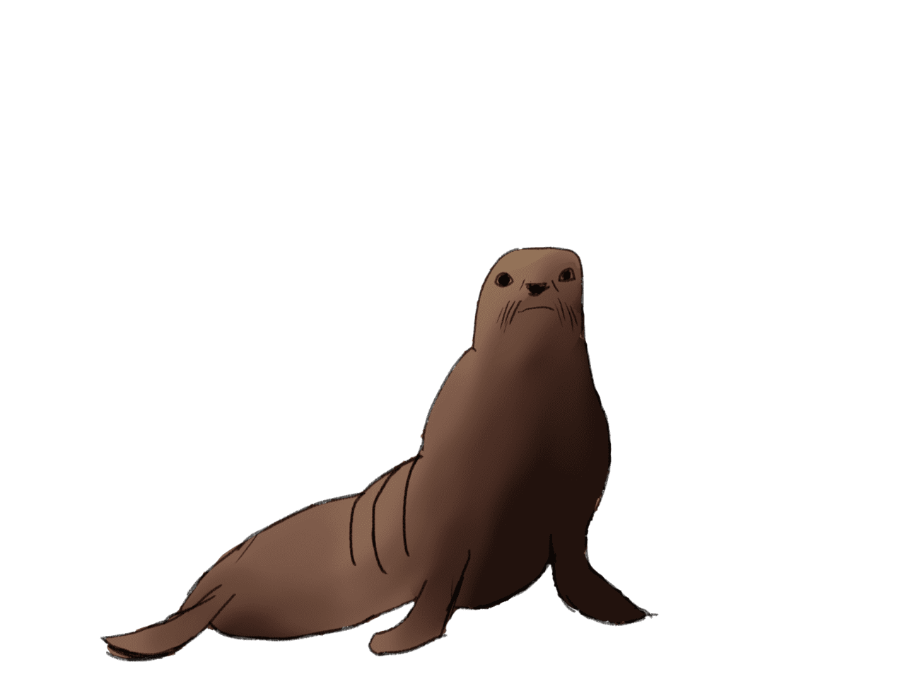 Seal liked enough to render clipstudio clipart picture