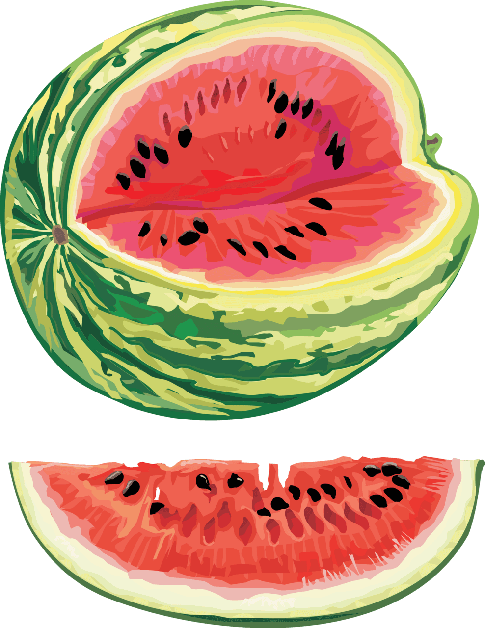 Salad watermelon image for clipart