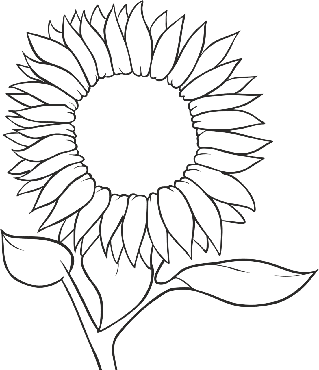 Sunflower black and white mon seed sketch line drawing clipart large size image