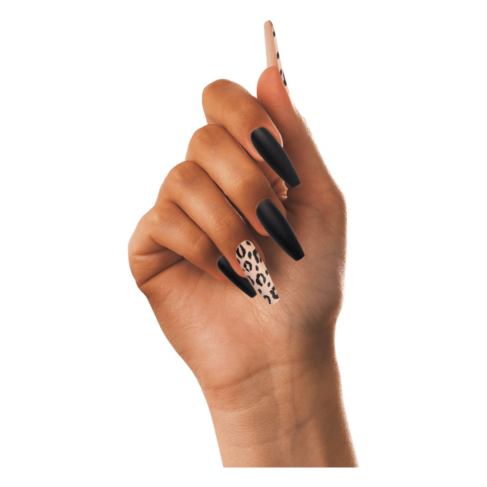 Cof nail images hd photo clipart