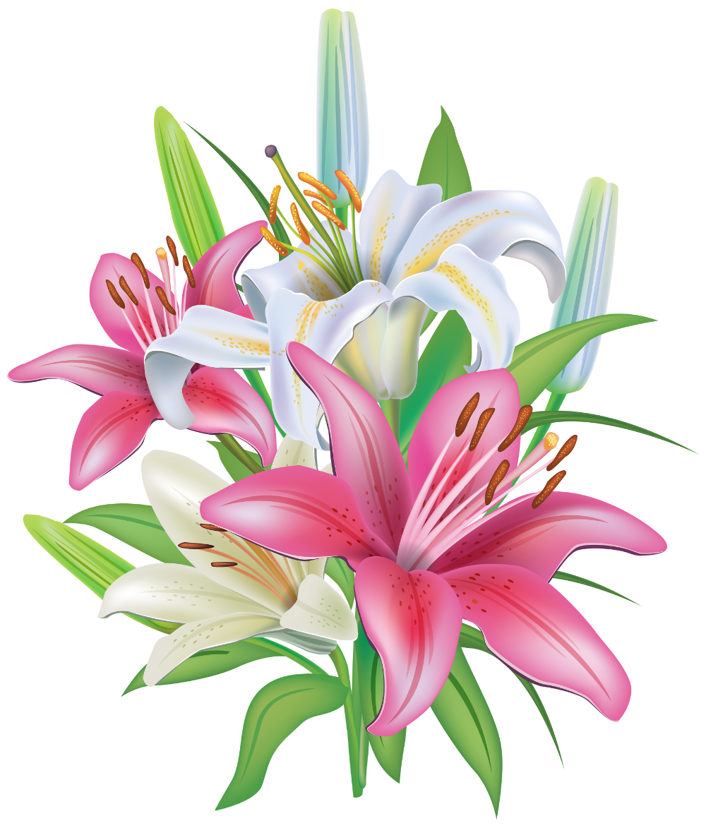 Pink flower lilies clipart image