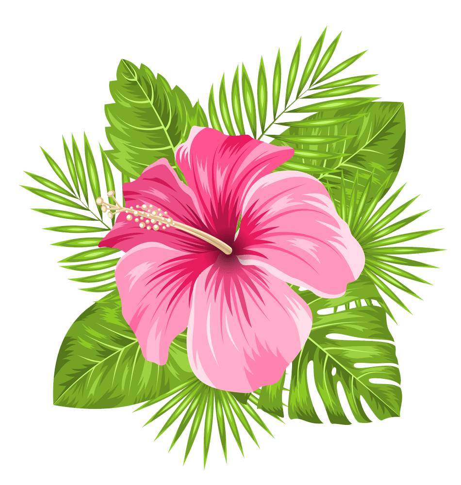 Hibiscus flower pin page clipart vector 2