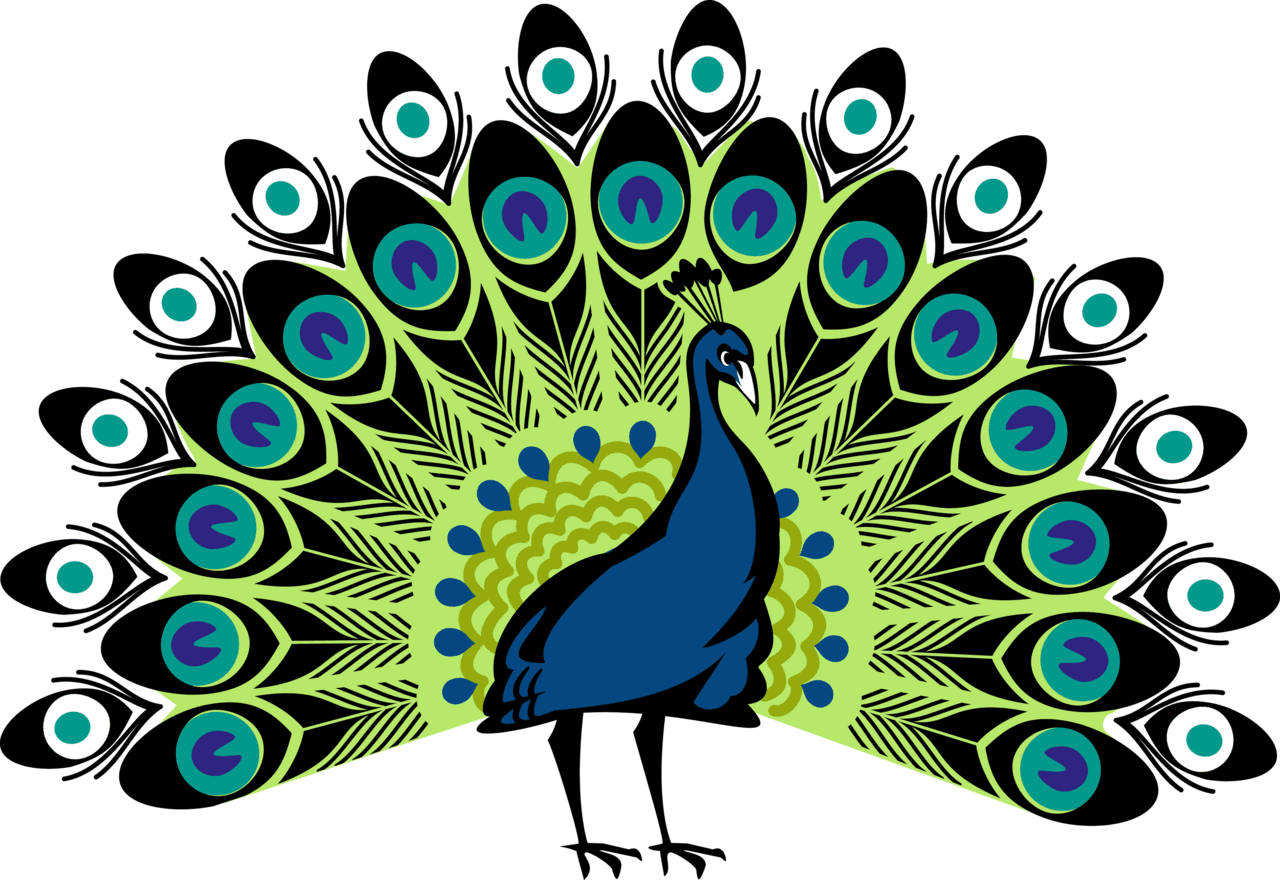 Peacock clipart shawl image