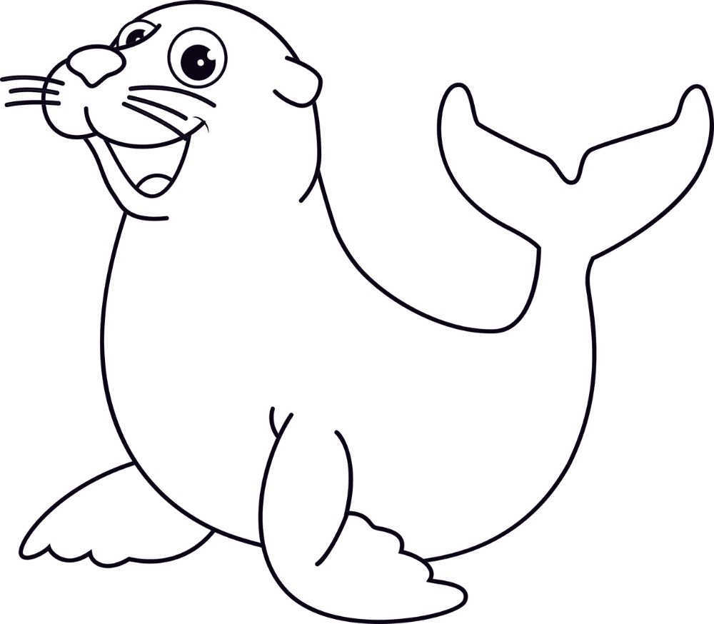 Seal foka dziecko zwierz darmowa grafika wektorowa na pixabay clipart logo