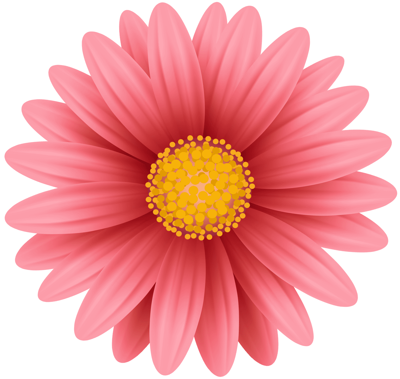 Pink flower red clipart vector