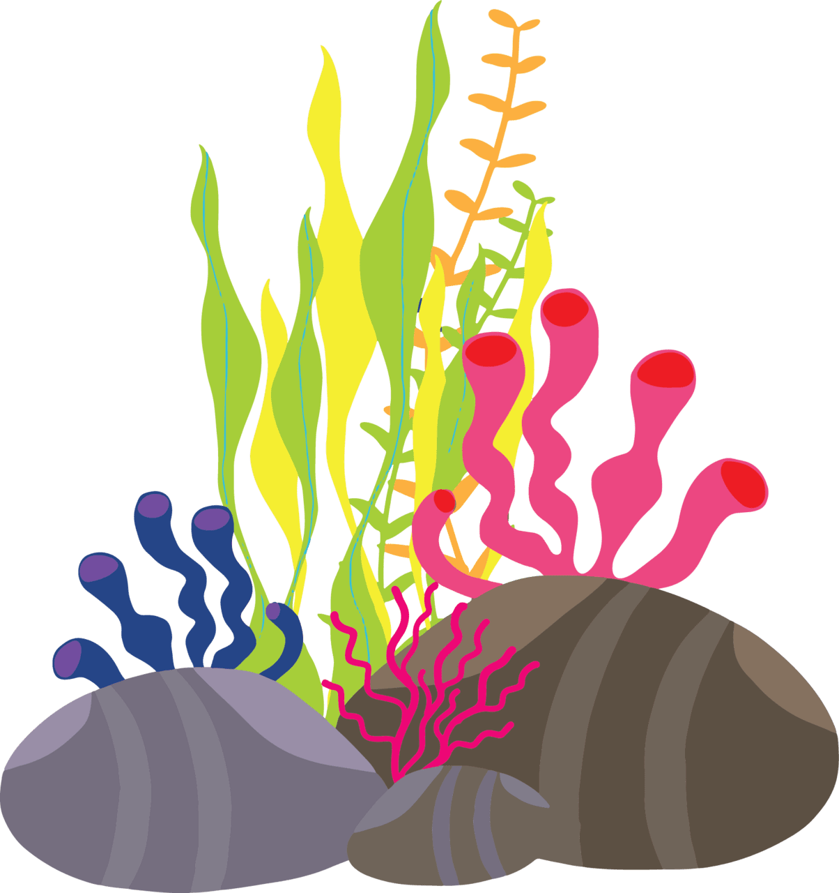 Seaweed pin page clipart free 2