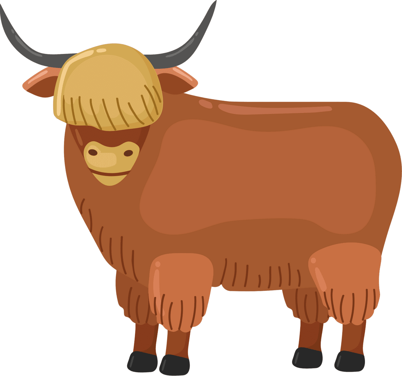 Highland cow cattle vector clipart images